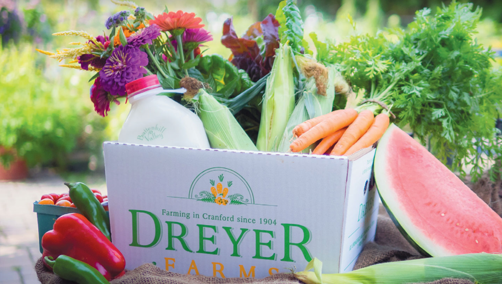 Dreyer Farms Online