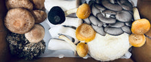 Load image into Gallery viewer, CSA Mushroom Share
