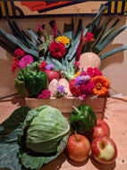 CSA Large Share (In 2025 this was called 