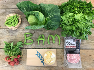 CSA BAM share (small)