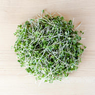 CSA Microgreens from Verde Harvest